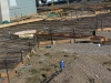 august-5-2010-009