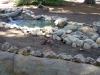 ornimental-pond-and-radius-rock-walls-326
