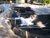 ornimental-pond-and-radius-rock-walls-024