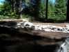 ornimental-pond-and-radius-rock-walls-243