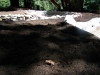 ornimental-pond-and-radius-rock-walls-244