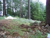 ornimental-pond-and-radius-rock-walls-257