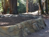 ornimental-pond-and-radius-rock-walls-269
