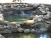 ornimental-pond-and-radius-rock-walls-320