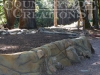 cc_ornimental-pond-and-radius-rock-walls-269